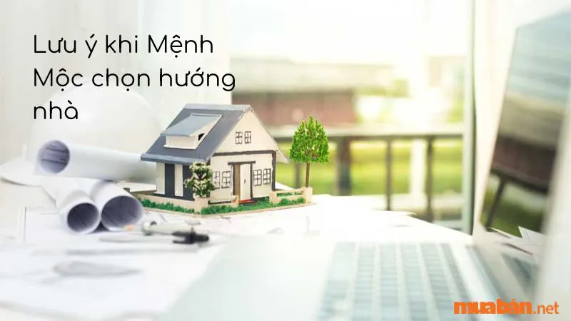 Mệnh Mộc hợp hướng nào? Cách bố trí nhà hợp phong thuỷ