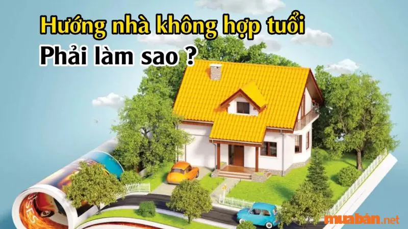 Mệnh Mộc hợp hướng nào? Cách bố trí nhà hợp phong thuỷ