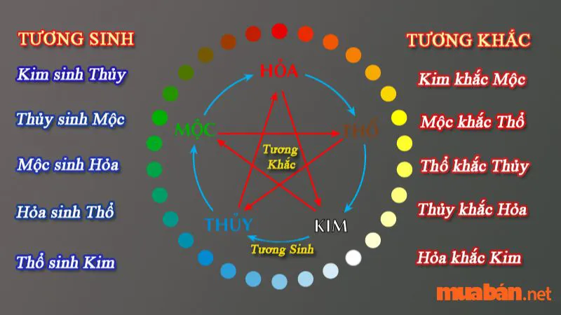 Mệnh Mộc là gì? Kiến thức phong thuỷ dành cho người mệnh Mộc chi tiết