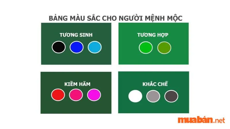 Mệnh Mộc là gì? Kiến thức phong thuỷ dành cho người mệnh Mộc chi tiết