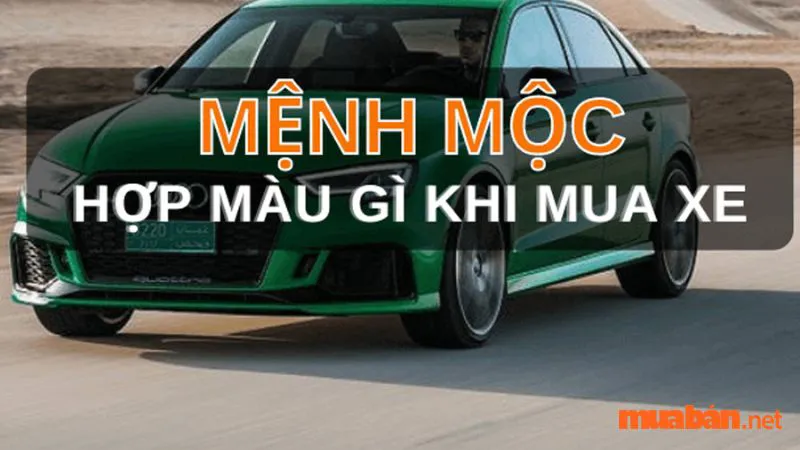 Mệnh Mộc là gì? Kiến thức phong thuỷ dành cho người mệnh Mộc chi tiết