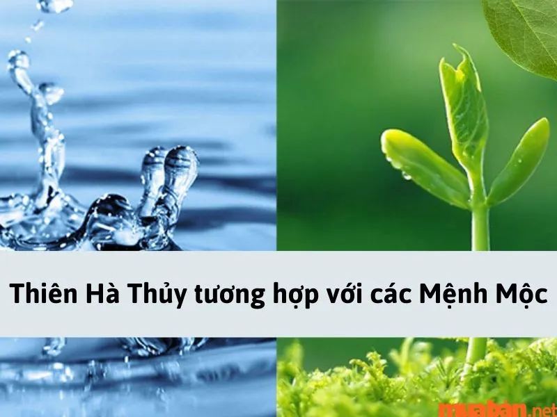 Mệnh Thiên Hà Thủy là gì? Sinh năm bao nhiêu? Hợp – Khắc mệnh gì?