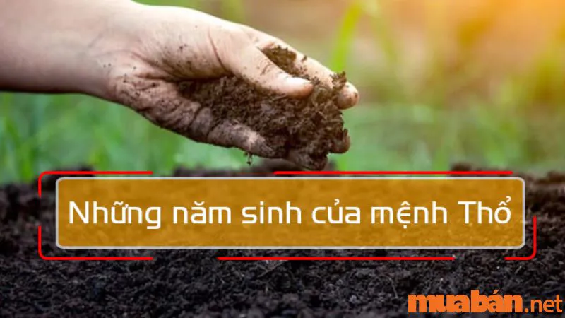 Mệnh Thổ Hợp Hoa Gì? 9 Loài Hoa Hợp Mệnh Thổ Đem Lại May Mắn, Tài Lộc