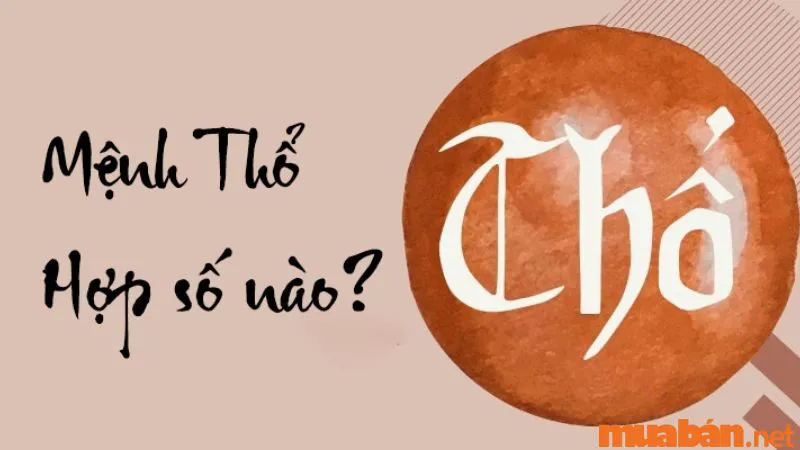 Mệnh Thổ Hợp Số Nào? Đâu Là Con Số Đem Lại May Mắn Cho Mệnh Thổ?