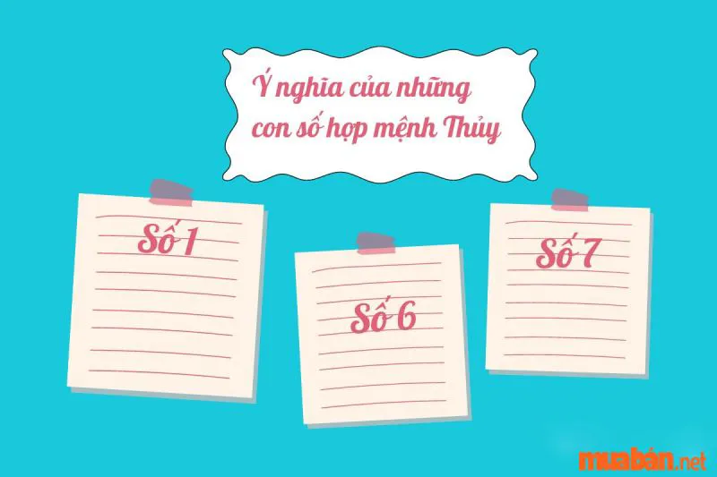 Mệnh Thủy Hợp Số Nào? Cách Chọn Số Điện Thoại, Số Xe Hợp Mệnh Chuẩn Nhất