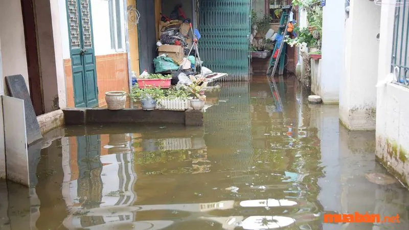 Mơ thấy nước mưa chảy vào nhà là vận xui hay tài lộc