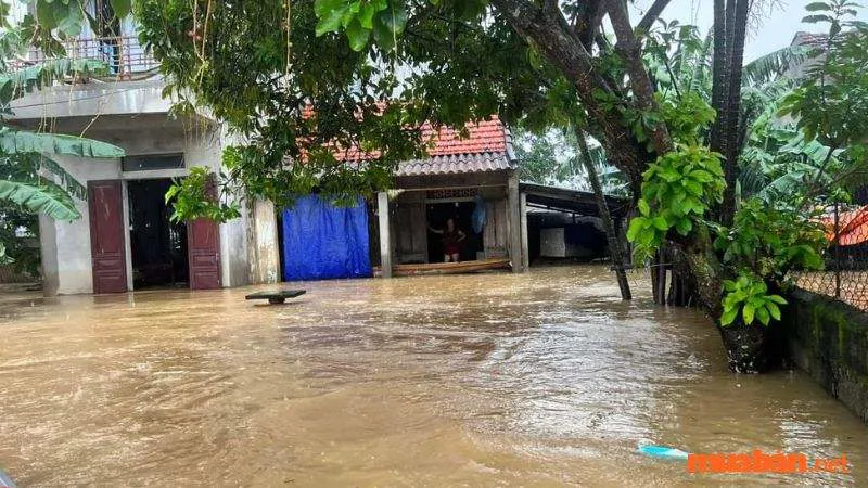 Mơ thấy nước mưa chảy vào nhà là vận xui hay tài lộc