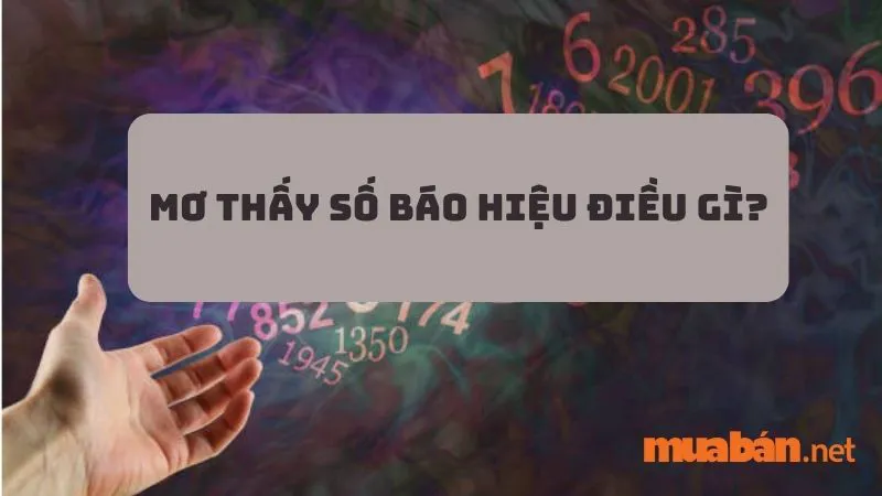 Mơ Thấy Số Là Điềm Gì? Có Mang Đến Tài Lộc, May Mắn?