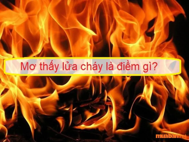 Nằm Mơ Thấy Lửa Là Điềm Gì? Điềm Báo Tốt Hay Xấu?