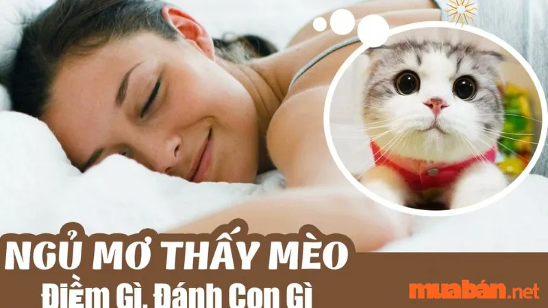 Nằm mơ thấy mèo là điềm báo gì? Giải mã giấc mơ thấy mèo