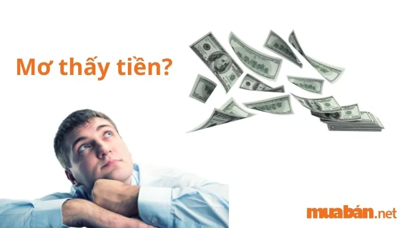 Nằm Mơ Thấy Tiền Là Điềm Gì? Giải Mã Chi Tiết Giấc Mơ Thấy Tiền