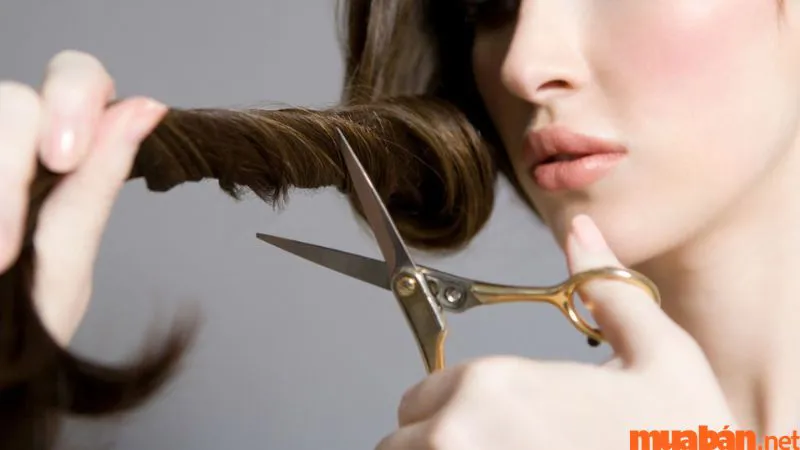 Ngày tốt cắt tóc tháng 9: Giải hạn xui, đón may mắn và tài lộc