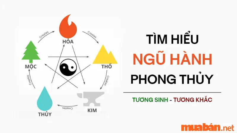 Ngũ Hành Tương Sinh, Tương Khắc| Luận Giải Quy Luật Và Ý Nghĩa