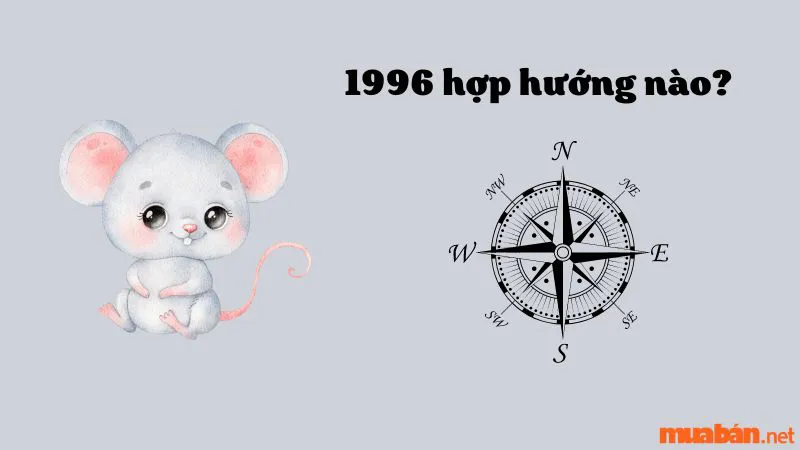 Người sinh năm Bính Tý 1996 hợp hướng nào? Kỵ hướng nào?