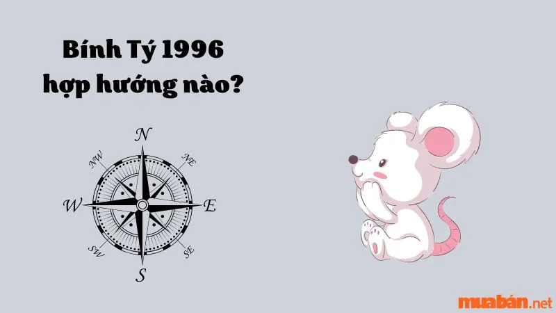 Người sinh năm Bính Tý 1996 hợp hướng nào? Kỵ hướng nào?