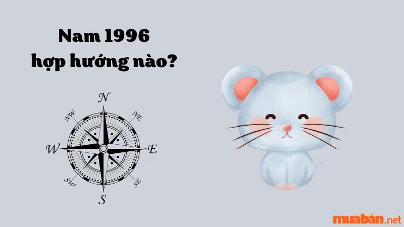 Người sinh năm Bính Tý 1996 hợp hướng nào? Kỵ hướng nào?