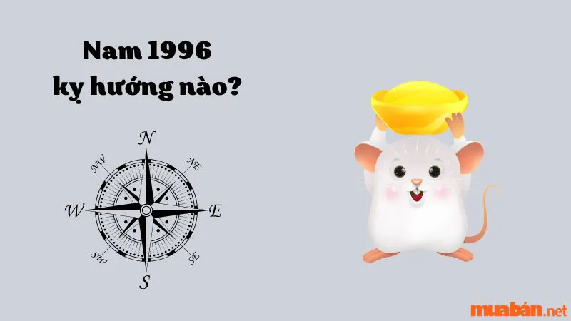 Người sinh năm Bính Tý 1996 hợp hướng nào? Kỵ hướng nào?