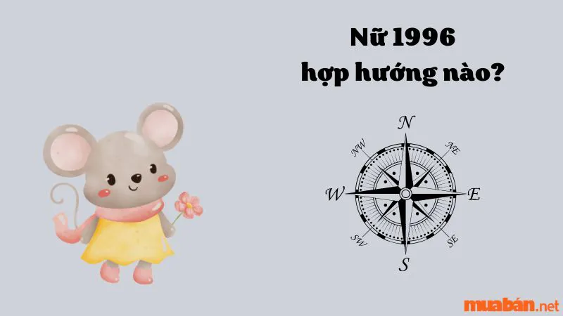 Người sinh năm Bính Tý 1996 hợp hướng nào? Kỵ hướng nào?