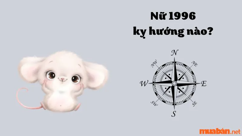 Người sinh năm Bính Tý 1996 hợp hướng nào? Kỵ hướng nào?