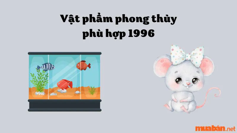 Người sinh năm Bính Tý 1996 hợp hướng nào? Kỵ hướng nào?