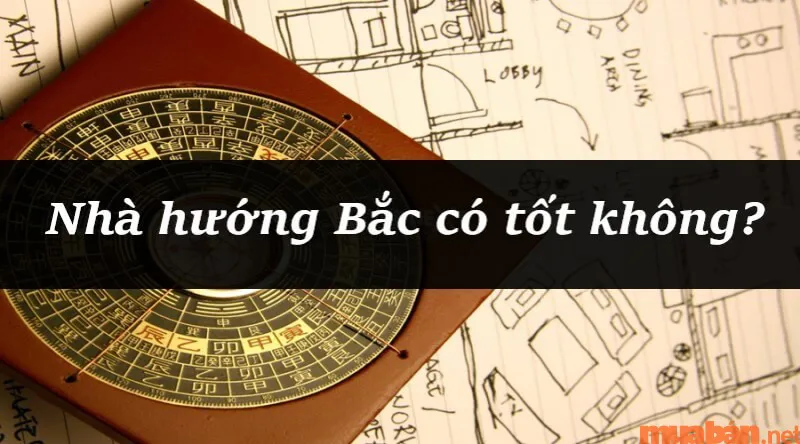 Nhà hướng Bắc hợp tuổi nào để rước tài lộc vào nhà?