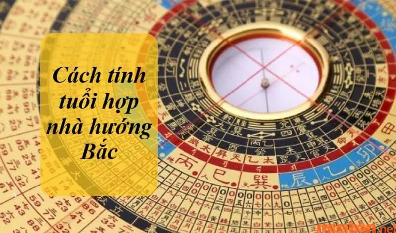 Nhà hướng Bắc hợp tuổi nào để rước tài lộc vào nhà?