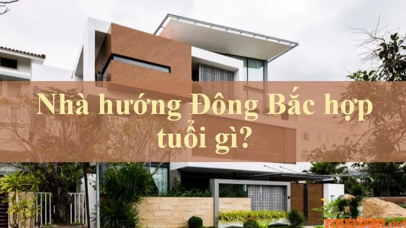 Nhà hướng Đông Bắc hợp tuổi gì và cách hóa giải hướng nhà không hợp tuổi?