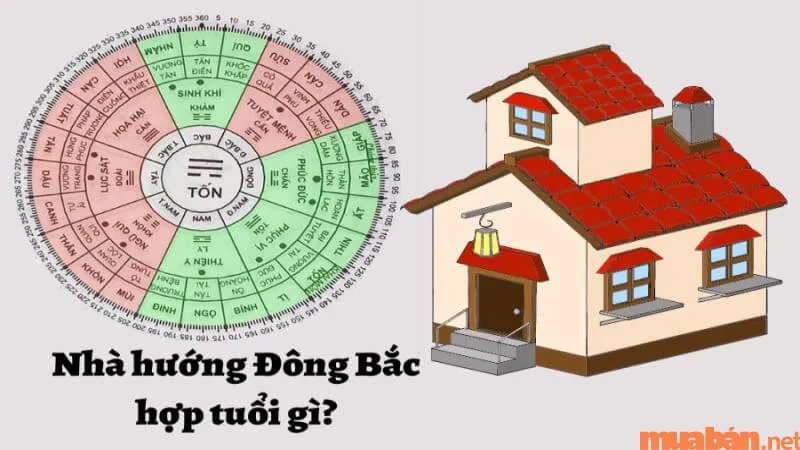 Nhà hướng Đông Bắc hợp tuổi gì và cách hóa giải hướng nhà không hợp tuổi?