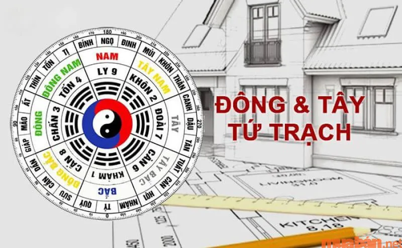 Nhà hướng Đông Bắc hợp tuổi gì và cách hóa giải hướng nhà không hợp tuổi?