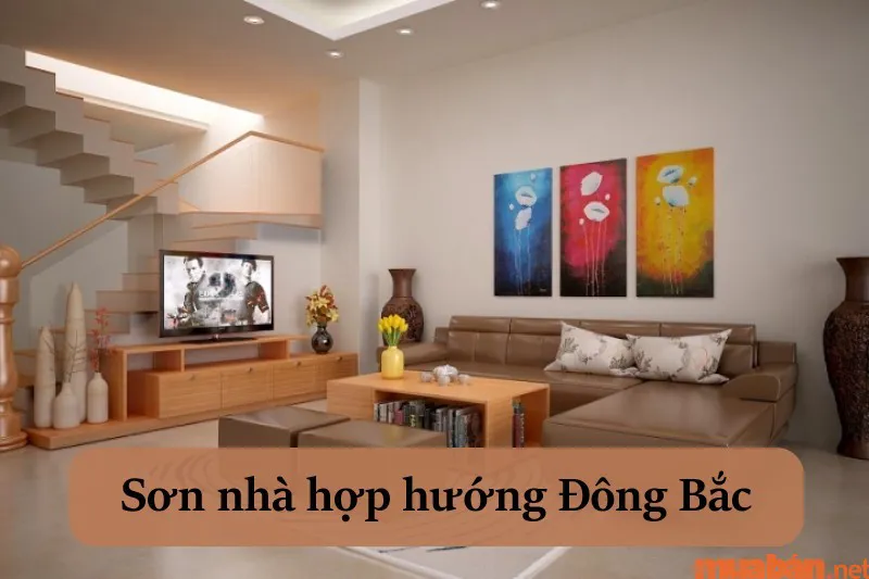 Nhà hướng Đông Bắc hợp tuổi gì và cách hóa giải hướng nhà không hợp tuổi?