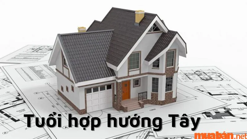 Nhà hướng Tây hợp với tuổi nào? Ưu – nhược điểm và một số gợi ý chống nóng khi xây nhà hướng Tây