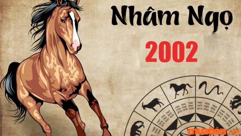 Nhâm Ngọ Sinh Năm 2002 Mệnh Gì, Hợp Và Kỵ Tuổi Nào?