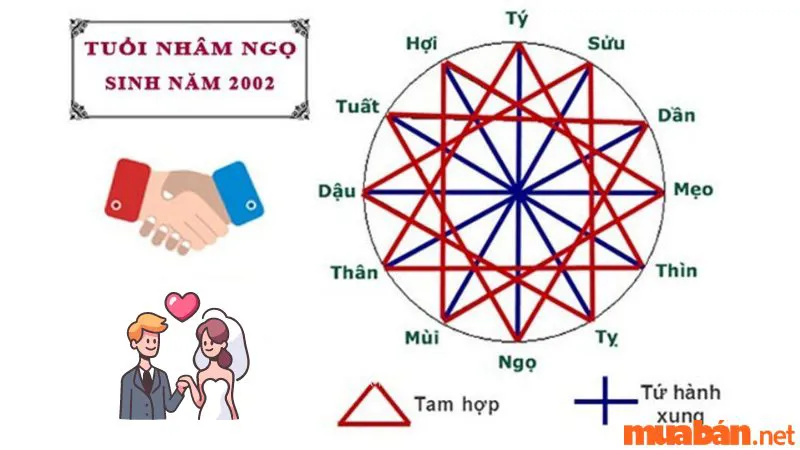 Nhâm Ngọ Sinh Năm 2002 Mệnh Gì, Hợp Và Kỵ Tuổi Nào?