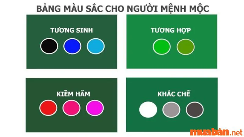 Nhâm Ngọ Sinh Năm 2002 Mệnh Gì, Hợp Và Kỵ Tuổi Nào?