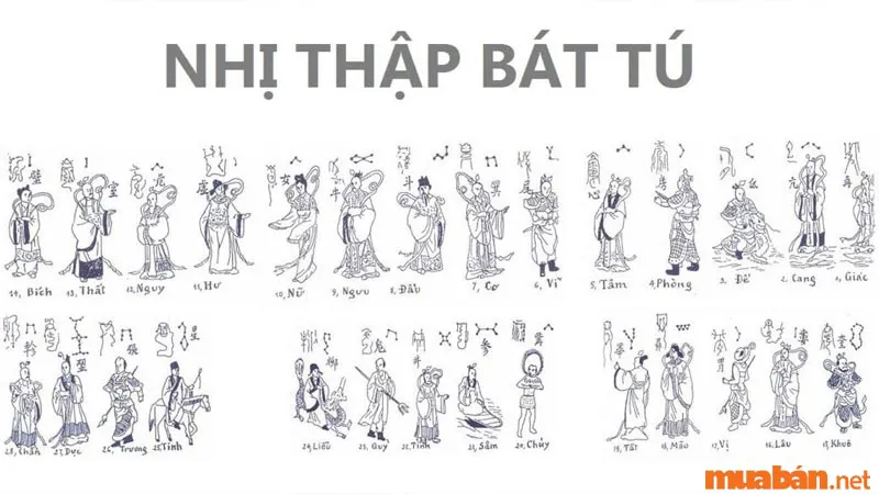 Nhị Thập Bát Tú là gì? Ý nghĩa 28 vì sao trong phong thủy