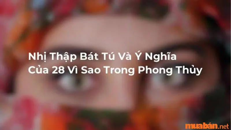 Nhị Thập Bát Tú là gì? Ý nghĩa 28 vì sao trong phong thủy