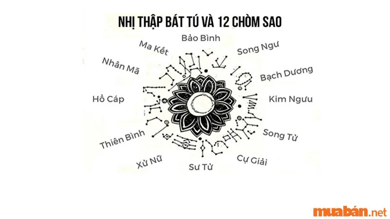 Nhị Thập Bát Tú là gì? Ý nghĩa 28 vì sao trong phong thủy