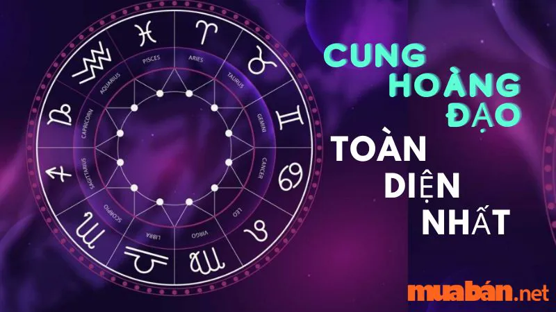 Những cung hoàng đạo nào toàn diện nhất về cả IQ và EQ