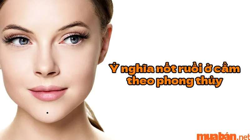 Nốt ruồi ở cằm: 12 luận giải tướng số phong thủy của nam và nữ chuẩn nhất