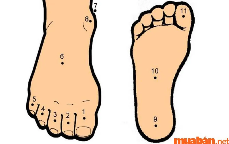 Nốt ruồi ở ngón chân có ý nghĩa phong thủy gì?
