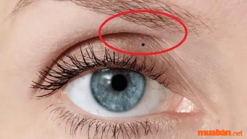 Nốt ruồi trên mí mắt có ý nghĩa gì? Xem tướng nốt ruồi trên mí mắt