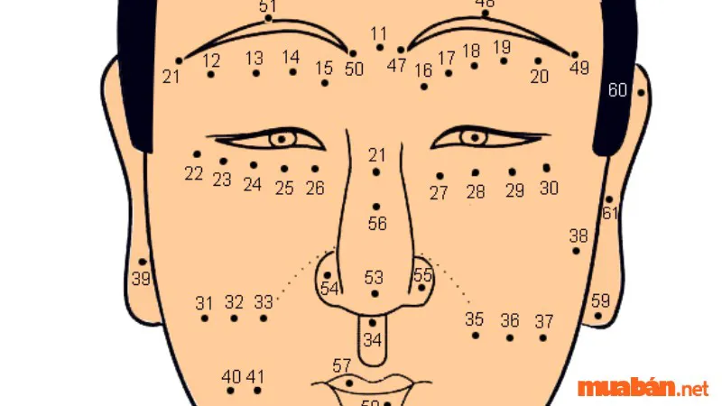 Nốt ruồi trên mí mắt có ý nghĩa gì? Xem tướng nốt ruồi trên mí mắt