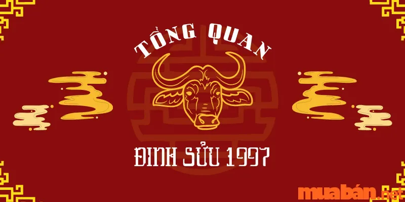 Nữ 1997 Lấy Chồng Tuổi Nào Hợp Để Hôn Nhân Viên Mãn, Bền Lâu