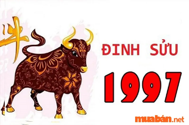 Nữ 1997 Lấy Chồng Tuổi Nào Hợp Để Hôn Nhân Viên Mãn, Bền Lâu