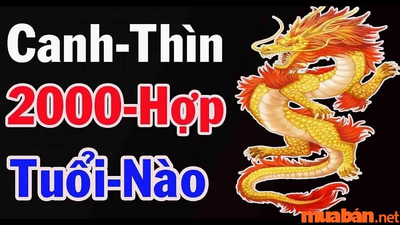 Nữ sinh năm 2000 lấy chồng tuổi nào hợp nhất?