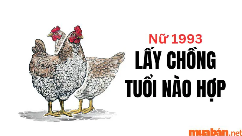 Nữ Tuổi Quý Dậu Sinh Năm 1993 Lấy Chồng Tuổi Nào Hợp Nhất?