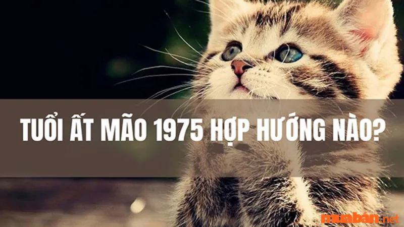 Phong thuỷ Ất Mão 1975 hợp hướng nào để sinh tài lộc ?