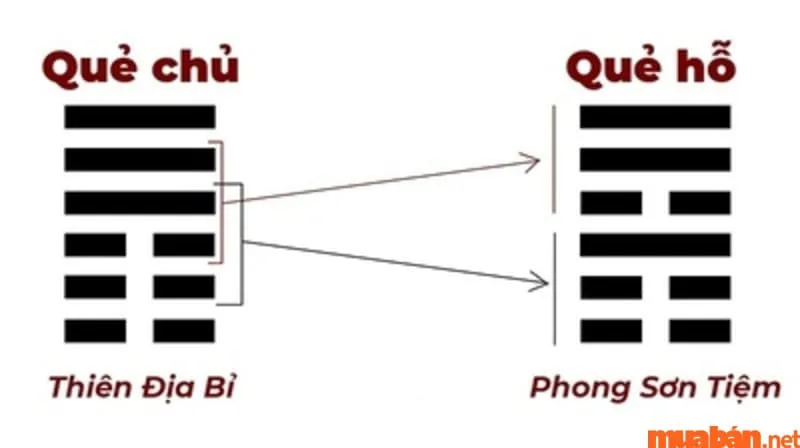 Quẻ Kinh Dịch Là Gì? Ý Nghĩa Và Cách Gieo Quẻ Kinh Dịch Cơ Bản