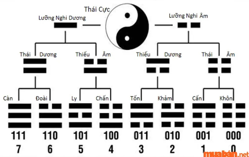 Quẻ Kinh Dịch Là Gì? Ý Nghĩa Và Cách Gieo Quẻ Kinh Dịch Cơ Bản