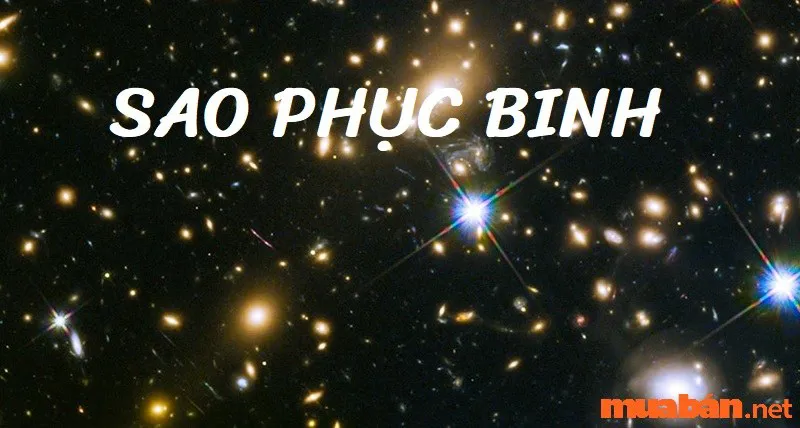 Sao Phục Binh là gì? Cách giải trừ vận xấu cho sao Phục Binh